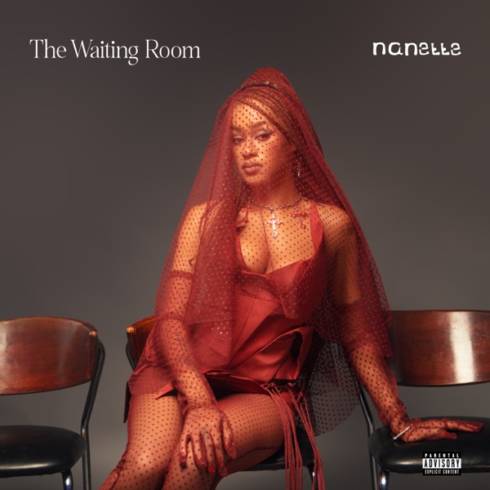 Nanette – The Waiting Room (2024) 